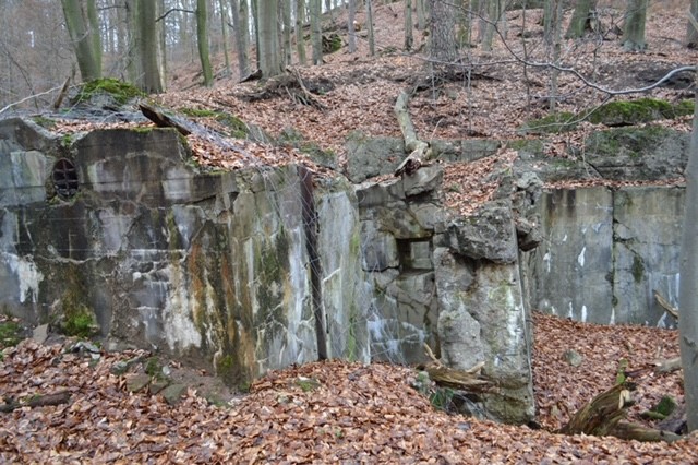 Ansicht der Reste des Westwalls im Kirkeler Wald und Teil des Westwall-Wanderwegs. Foto: Max Limbacher