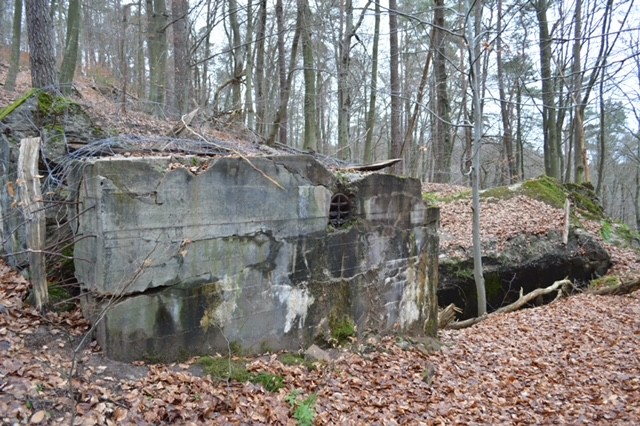 Ansicht der Reste des Westwalls im Kirkeler Wald und Teil des Westwall-Wanderwegs. Foto: Max Limbacher